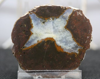 Thunderegg Specimen - Item R02280