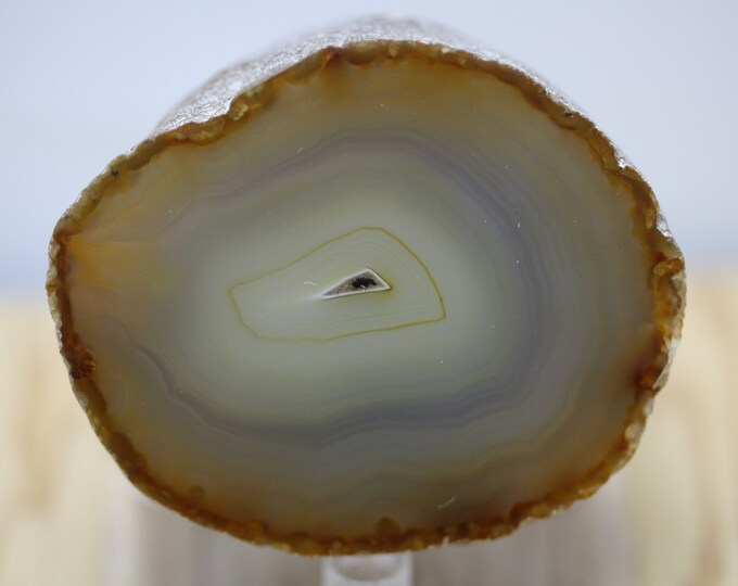 Brazilian Agate Specimen - R02881