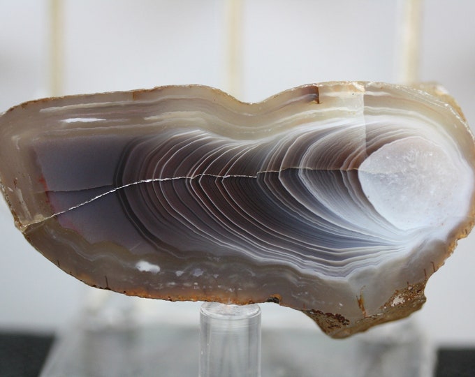 Botswana Agate Specimen - R02791