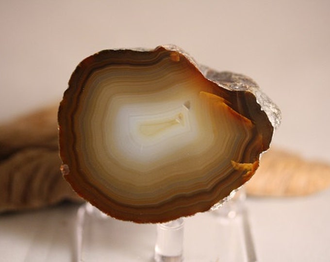 Brazilian Agate Specimen - R02382