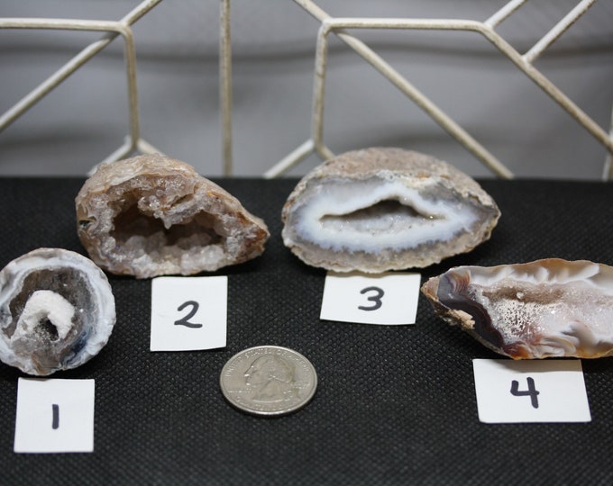 Small Agate Geode Specimen - 4 to choose from