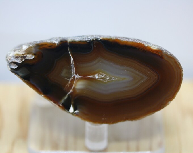 Brazilian Agate Specimen - R02872