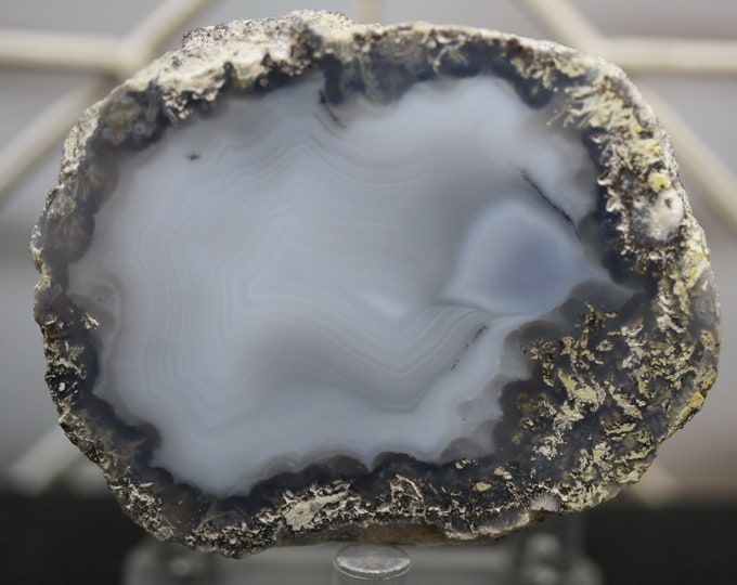 Mexican Coconut Specimen - Item R02329