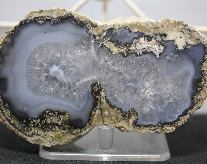 Mexican Coconut Specimen - Item R02452