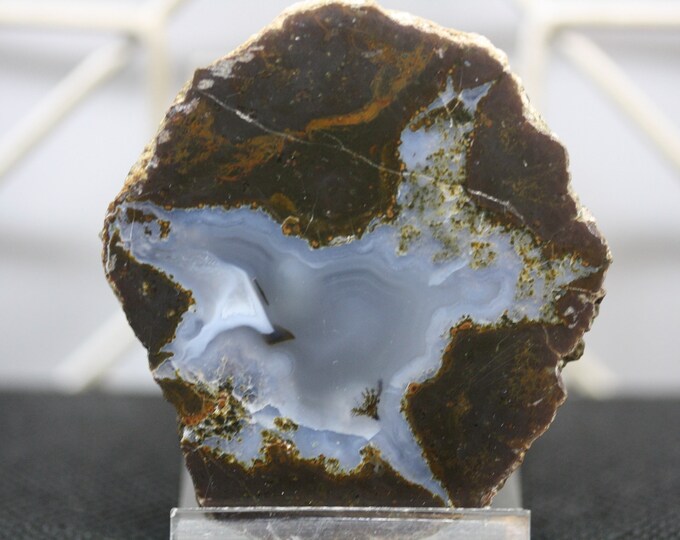 Thunderegg Specimen - Item R02254