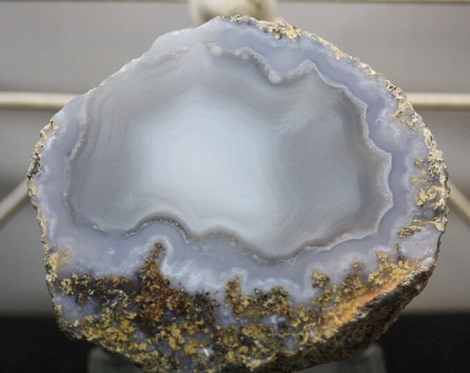 Mexican Coconut Specimen - Item R02030