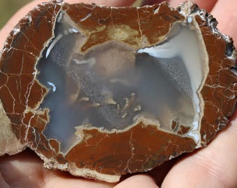 Thunderegg Specimen - Item R02996