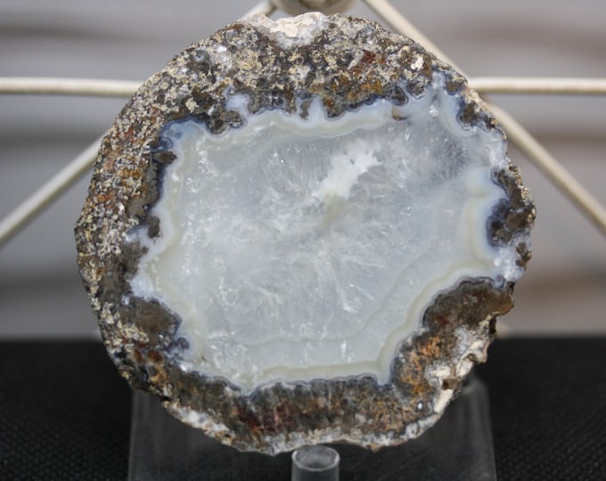Mexican Coconut Specimen - Item R02075