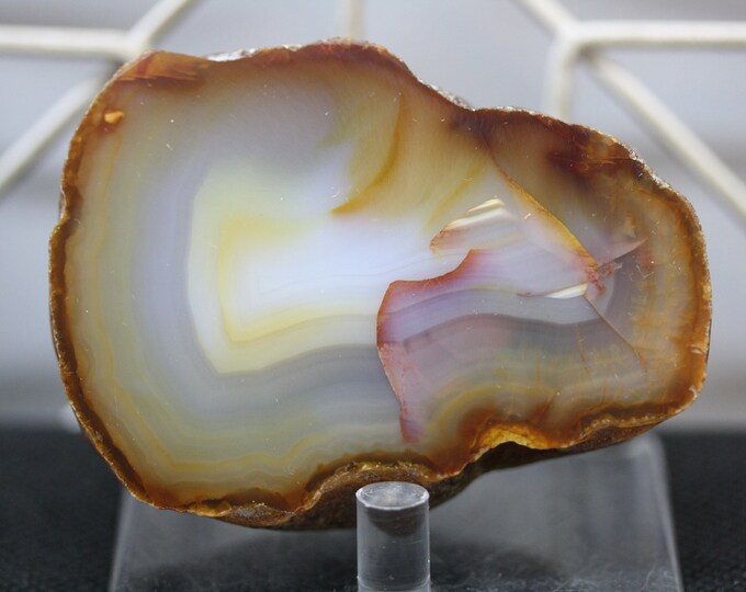 Brazilian Agate Specimen - R02071