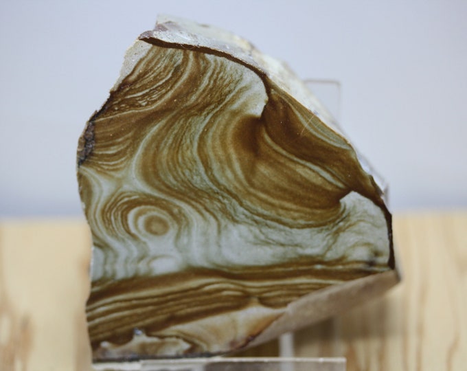 Picture Jasper Specimen - Item R02887