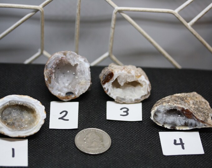 Small Agate Geode Specimen - 4 to choose from