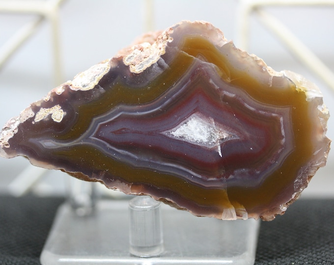 Laguna Agate Specimen - R02059