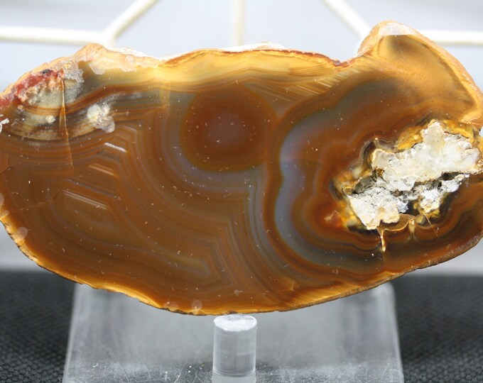 Brazilian Agate Specimen - R02283