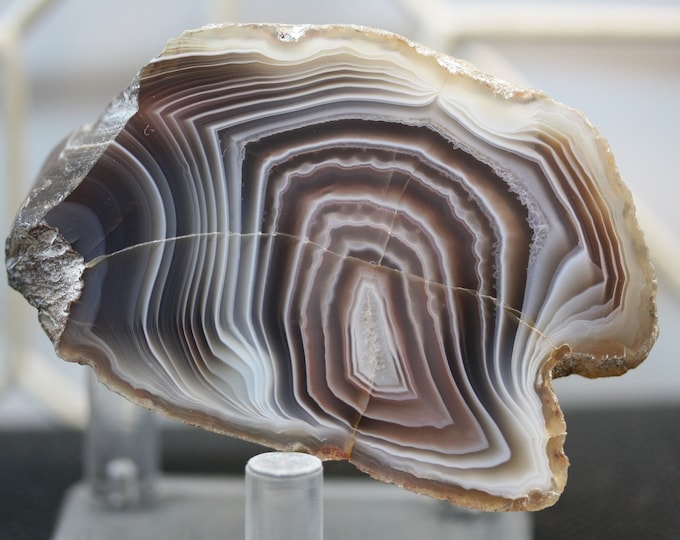 Botswana Agate Specimen - R02564
