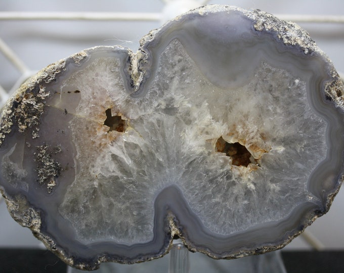 Mexican Coconut Specimen - Item R02807