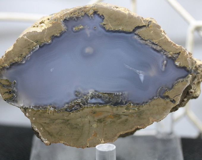 Thunderegg Specimen - Item R02203