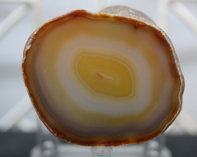 Brazilian Agate Specimen - R02351
