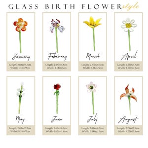 May include: A display of glass birth flower designs, each representing a month. The flowers are on green stems, with details of length and width in inches and centimeters. The text "GLASS BIRTH FLOWERstyle" is at the top.