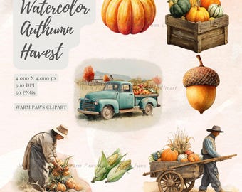 Autumn Harvest Watercolor Clipart | Pumpkins, Gourds, Wheat, Apples, Farm Produce | Fall PNG Bundle