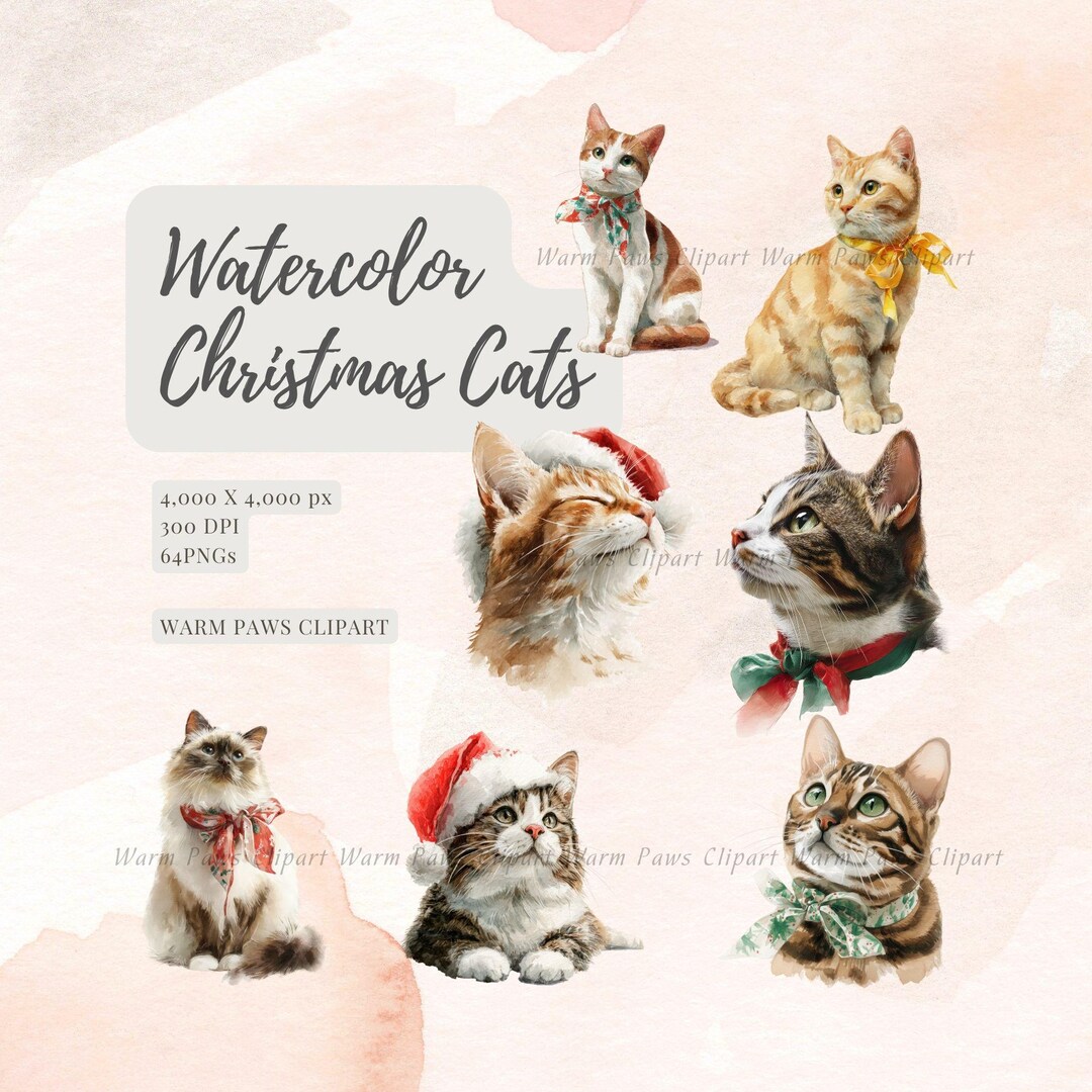 Watercolor Christmas Cats Clipart | 64 PNG Bundle (digital Download) - Etsy