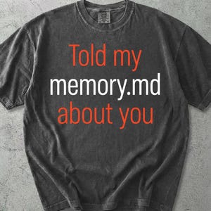 May include: A charcoal gray short-sleeve t-shirt with a crew neckline. The shirt features the orange and white text "Told my memory.md about you" printed across the chest. The fabric has a washed, vintage-style appearance with a visible texture.