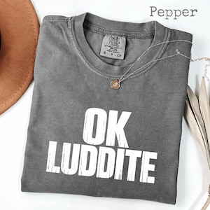 May include: A gray Comfort Colors t-shirt with the text "OK LUDDITE" in white block letters. The shirt has a crew neck and short sleeves. A silver necklace with a small pendant is draped across the shirt.