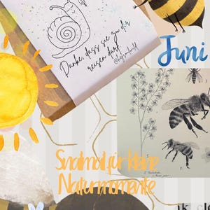 Könnte beinhalten: Eine skurrile Collage mit einer Cartoon-Biene, einer Schnecke und botanischen Illustrationen. Das Design enthält das Wort "Juni" und Text auf Deutsch. Die Farbpalette umfasst Gelb, Braun und Weiß mit floralen und geometrischen Elementen.