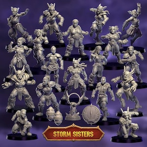 May include: A collection of gray miniature figurines of female warriors in various action poses. The figurines are on black bases and include accessories like shields and weapons. The text "STORM SISTERS" is displayed on a banner.