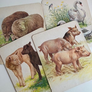 Cartes originales d'animaux de la ferme, recto-verso, présentoir de décoration, journal indésirable, scrapbooking, création sur papier. Fourniture pour fabrication de cartes, Fournitures de collage