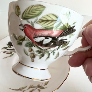 Tasse à thé et soucoupe royale toscane, bec-croisé des oiseaux d&#39;Auduban, tasse à thé sur pieds, porcelaine anglaise, cadeau pour amateur d&#39;oiseaux ou amateur d&#39;oiseaux