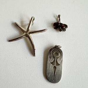 May include: Three silver pendants, one shaped like a starfish, one with a geometric design, and one with a cluster of red beads.