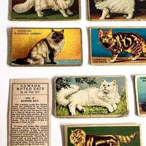 Cowan's Noted Cats, Cartes en chocolat, Commerce non sportif, 23 sur 24 dans le lot, 1 manquant, HTF rare, cartes à collectionner, 1925