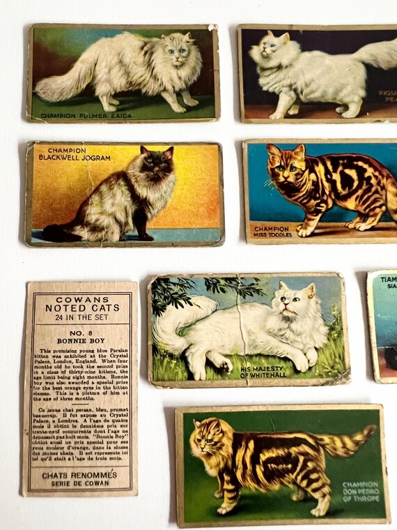 rare non sports trading cards 128 Packs Vintage Assorted Non Sports Trading Card Packs Less Than $ Badger Unopened Baseball Cards