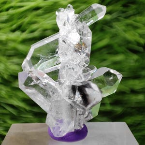 Puede incluir: Un grupo de cristales de cuarzo transparente con múltiples puntas, montado sobre una base rectangular blanca con una base púrpura. La formación cristalina tiene un aspecto natural y en bruto, con estructuras internas visibles. El fondo es verde borroso.