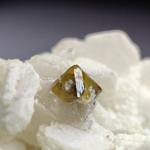 May include: A small, translucent, olive-brown crystal with a sharp, geometric shape resting on a cluster of opaque, white, flat, plate-like mineral formations. The crystal features distinct facets and a glossy surface texture.