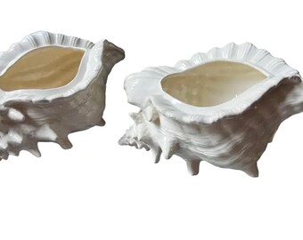Pair of Large White Ceramic Shell Style Planters