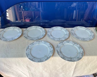 Collection of Vintage Plates With Blue Rose Details