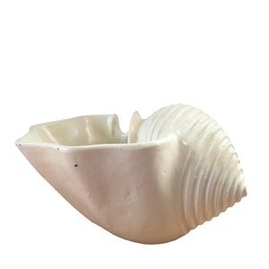 White Shell Planter - FREE SHIPPING!