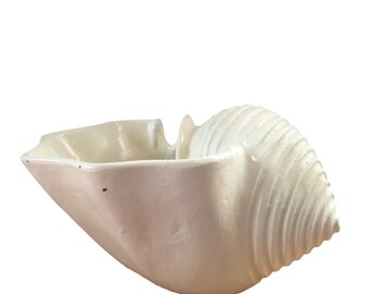 White Shell Planter - FREE SHIPPING!