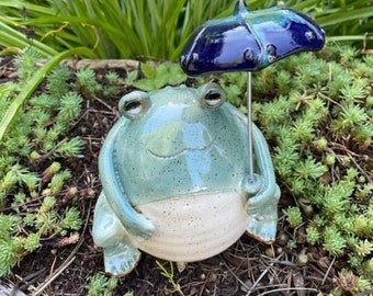 Fatty Frog on a Rainy Day