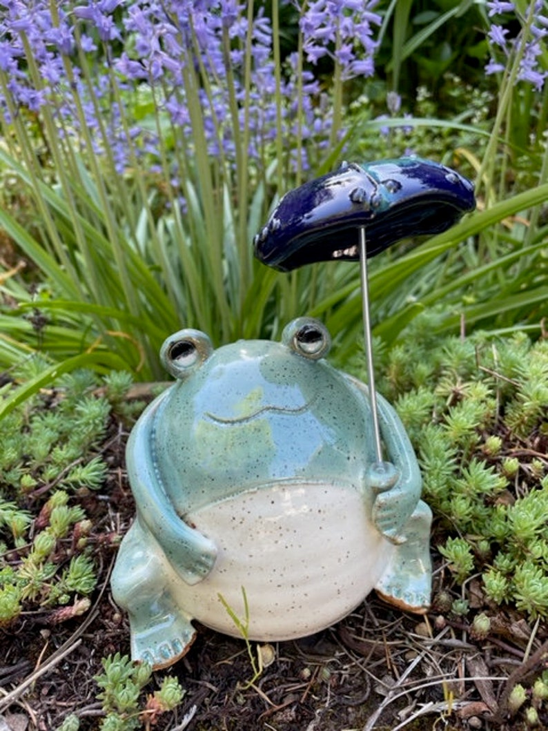 Fatty Frog on a Rainy Day image 2