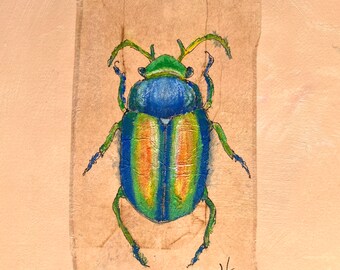 Puede incluir: Un escarabajo verde, azul y naranja con patas largas está pintado en un trozo de papel marrón. El papel tiene una textura rugosa y el escarabajo está dibujado con detalle. La firma del artista, "H 2021", está en la esquina inferior derecha.