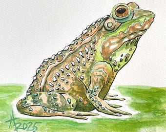 Mi sapo favorito, arte original, acuarela, tinta, pintura de pared, 8 x 10 pulgadas, marco enmarañado, listo, por Tristina Dietz Elmes