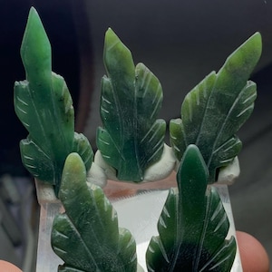 Puede incluir: Cinco colgantes de hojas de jade talladas en varios tonos de verde. Cada hoja tiene vetas detalladas y está montada sobre una base blanca. Las hojas están dispuestas sobre una superficie rectangular transparente.