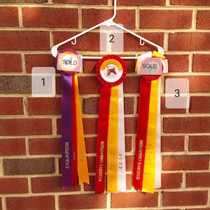 Vintage horse ribbons - CHOICE - equestrian - horse decor - rosette - competition award - Champion - horse show ribbon - trophy