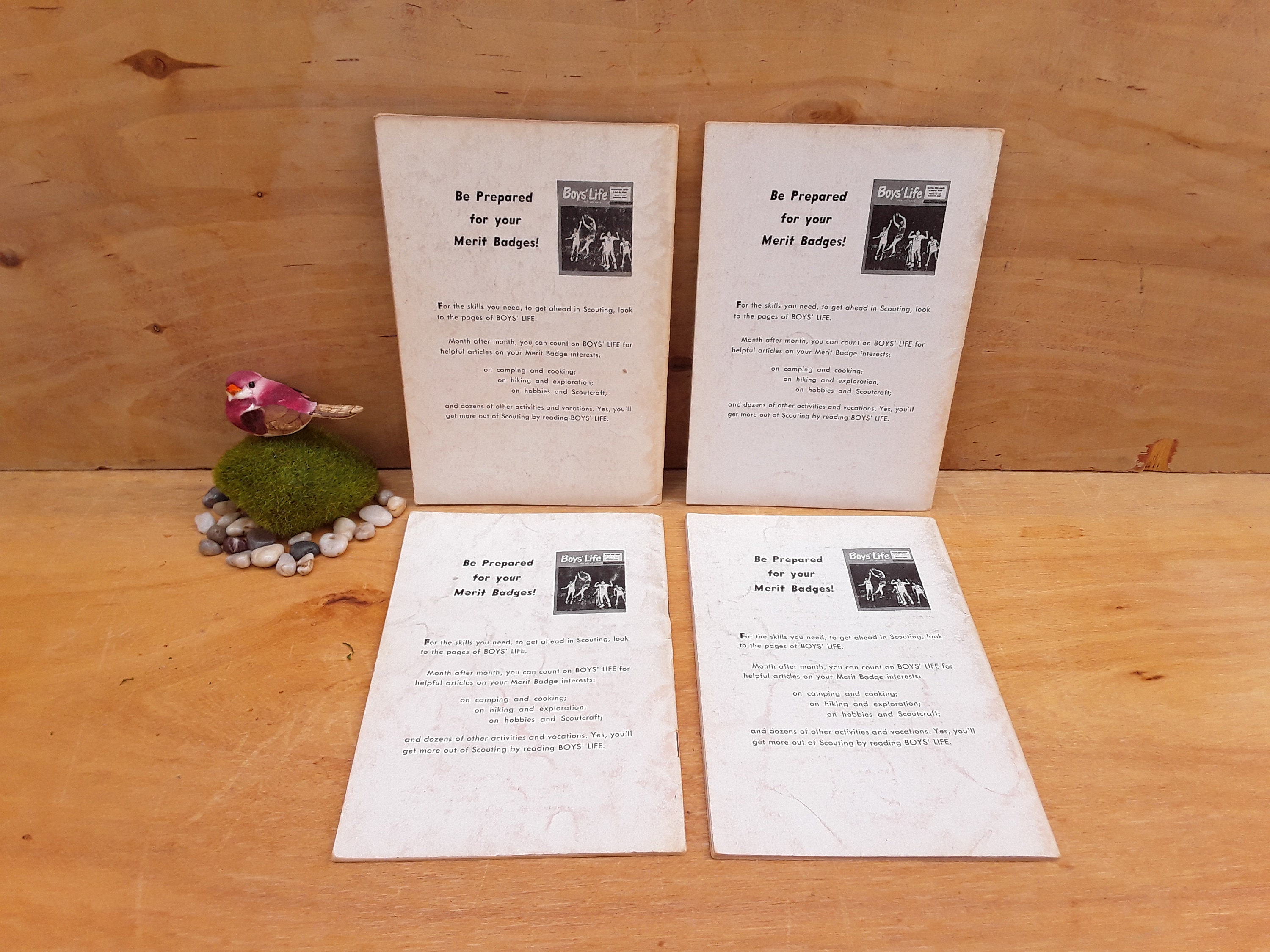 Vintage Merit Badge Series Books - Boy Scouts of America - Scout ...