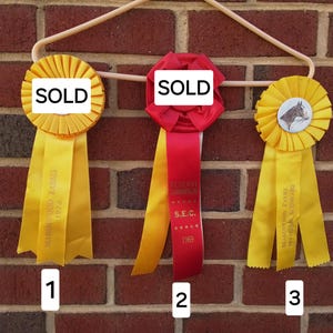 Vintage horse ribbons - PRICE FOR ONE ribbon - equestrian - decor - rosette - competition award - horse show ribbon - trophy - yellow - red