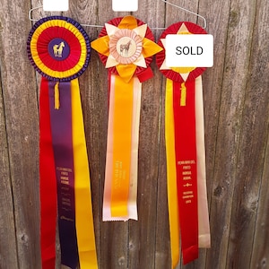 Quick Ship Horse Show Rosette Ribbon Set - McLaughlin Ribbon Awards