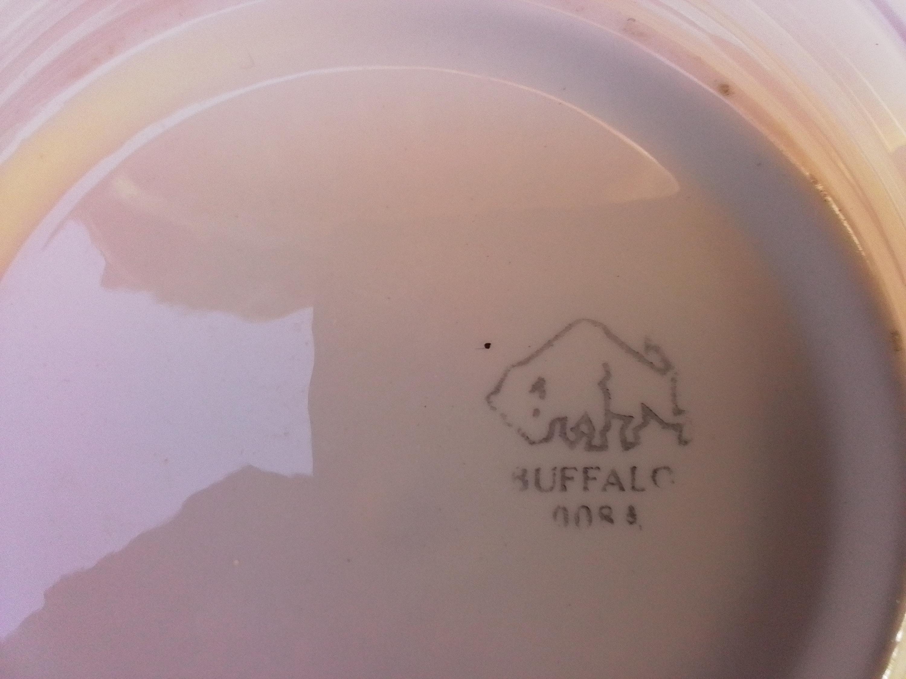 US Navy Fouled Anchor Bread and Butter Plates - Homer Laughlin