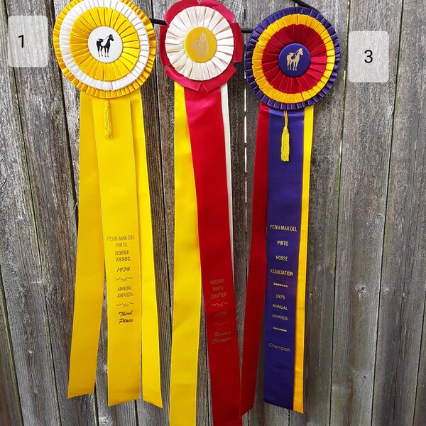 Horse Show Ribbons Etsy
